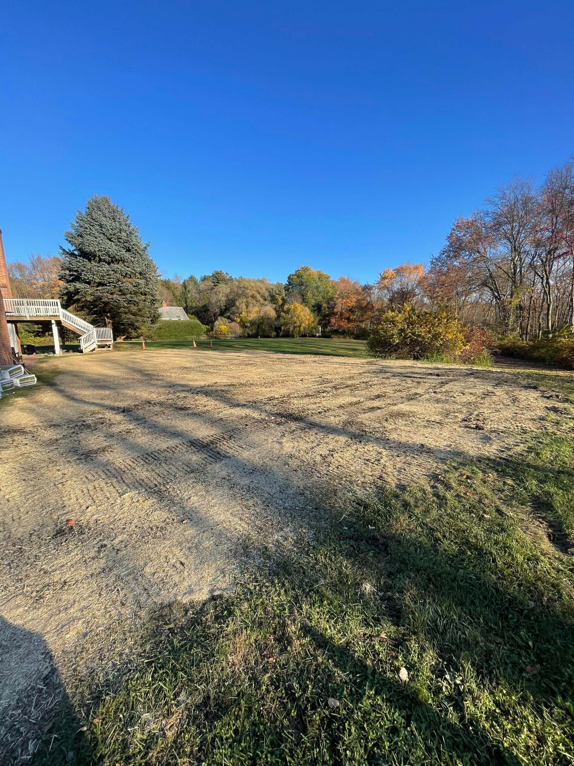After: open yard area after pool removal