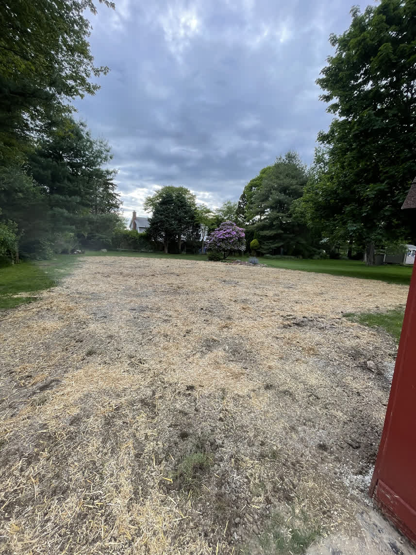 After: yard after pool removal with hay laid down