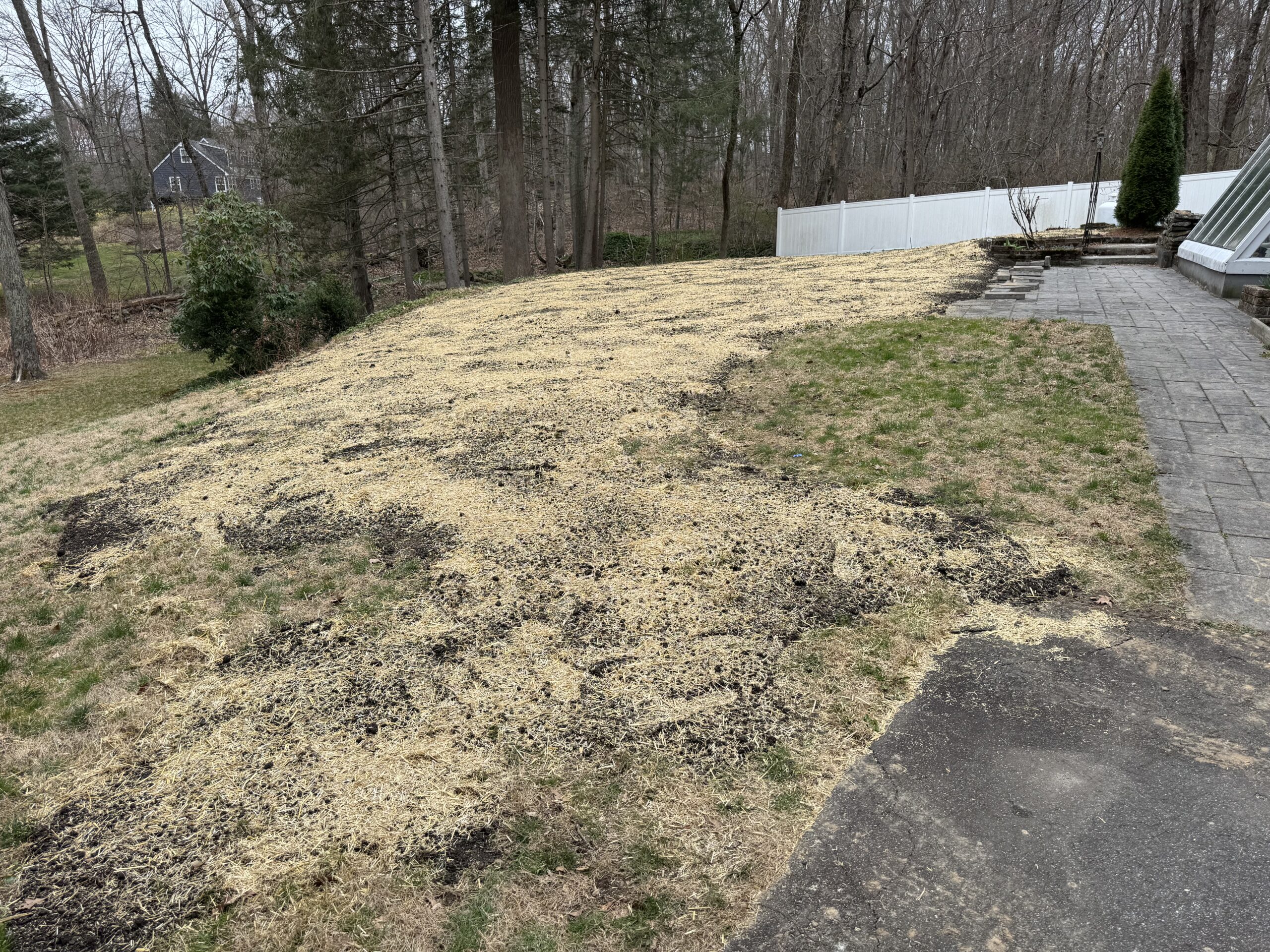 After: backfilled and graded yard with seed and hay installed